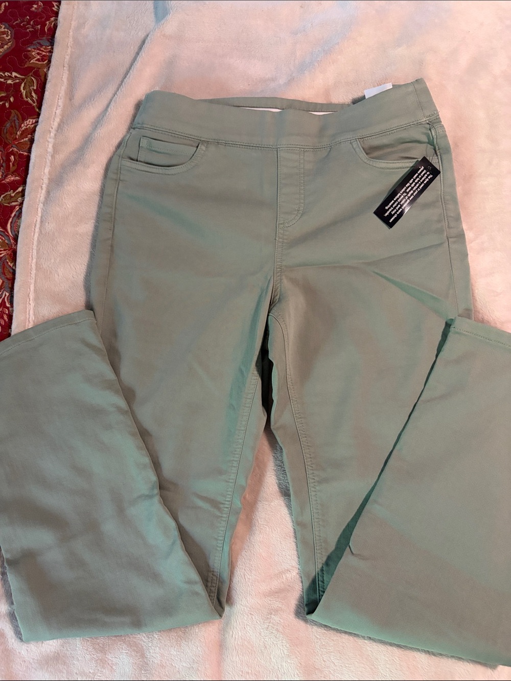 Denim&Co Straight Leg Pants in Sage Green
